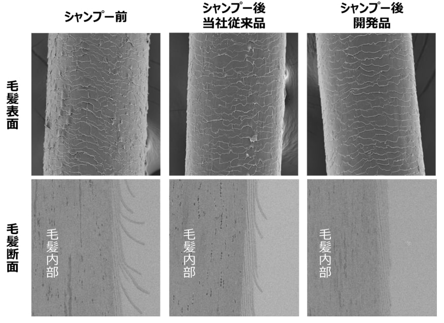 コーセーがヘアカラー褪色を抑制する製剤技術を開発